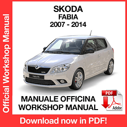 Skoda Fabia MK2 (2007, 2008, 2009, 2010, 2011, 2012, 2013, 2014) (EN) Workshop Repair Manual Download PDF