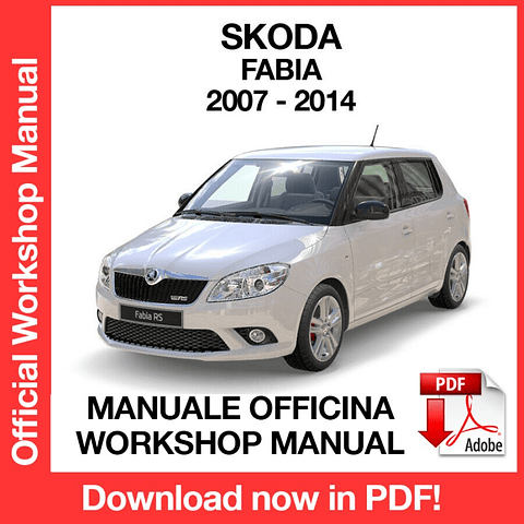Skoda Fabia MK2 (2007, 2008, 2009, 2010, 2011, 2012, 2013, 2014) (EN) Workshop Repair Manual Download PDF