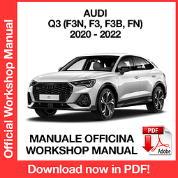 AUDI Q3 F3N (2020, 2021, 2022) (EN) Workshop Repair Manual Download PDF
