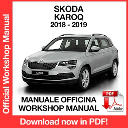 Skoda KAROQ (2018-2019) (EN) Workshop Repair Manual Download PDF