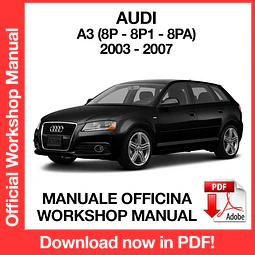 AUDI A3 (2003, 2004, 2005, 2006, 2007) (EN) Workshop Repair Manual Download PDF