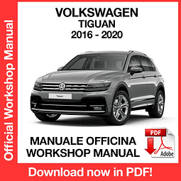 Manuale Officina Volkswagen Tiguan (2016-2017-2018-2019-2020) (EN)