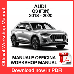 MANUALE OFFICINA AUDI Q3 (2018-2019-2020) (EN)