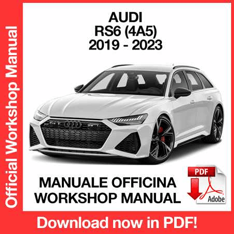 Manuale Officina Audi RS6 4A5 (2019-2020-2021-2022-2023) (EN)