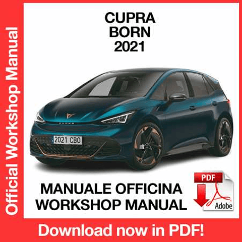 Manuale Officina Cupra Born (2021) (EN)