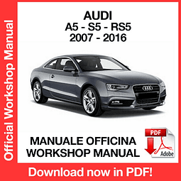 MANUALE OFFICINA AUDI A5 S5 RS5 (2007-2008-2009-2010-2011-2012-2013-2014-2015-2016) (EN)