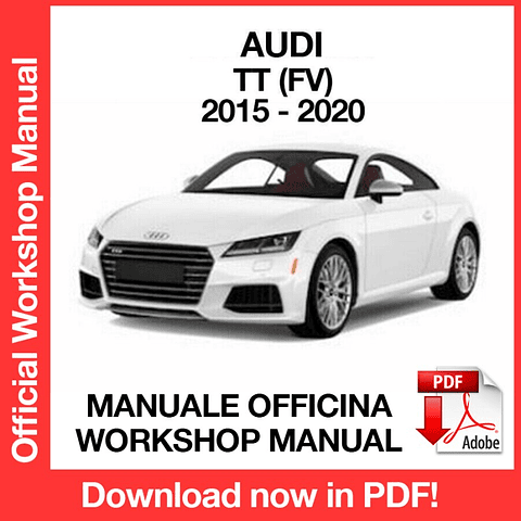 MANUALE OFFICINA AUDI TT (2015-2016-2017-2018-2019-2020) (EN)