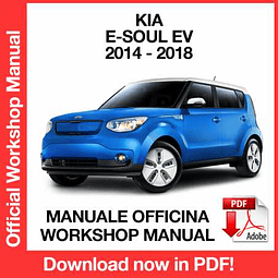 Manuale Officina Kia E Soul Ev (2014-2015-2016-2017-2018) (EN)