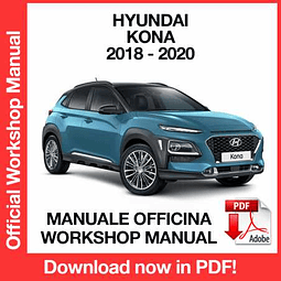 Manuale Officina Hyundai Kona (2018-2019-2020) (EN)