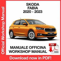 Manuale Officina Skoda Fabia 4 (2020-2021-2022-2023) (EN)