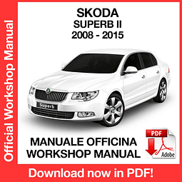 Manuale Officina Skoda Superb MK2 (2008-2009-2010-2011-2012-2013-2014-2015) (EN)