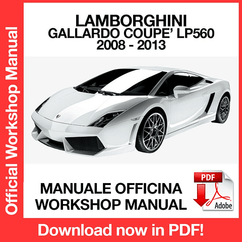 Manuale Officina Lamborghini Gallardo Coupe LP560 (2008-2009-2010-2011-2012-2013) (EN)