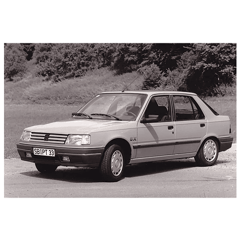 Manual De Despiece Peugeot 309 (1985 - 1994) En Español