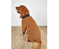 Dog Pajama Sewing Pattern, Dog Pattern, Dog Sewing Pattern, Dog Pajama, Pattern for dog, Dog Jacket Pattern, Dog Top Pattern, Dog Jumpsuit
