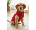 Dog Sewing Pattern, Dog Vest Pattern, Dog Pattern, Dog Top Pattern, Pattern for dog, Dog Jacket Pattern, Dog Tank Top Pattern