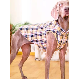 Dog Coat Pattern, Dog Vest Sewing Pattern, Sewing Pattern Pet, Pattern Dog,  Pet Pattern, Sewing pattern for dog coat, dog jacket pattern