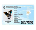 Plantilla Dni Mascotas Editable En Psd