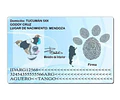 Plantilla Dni Mascotas Editable En Psd