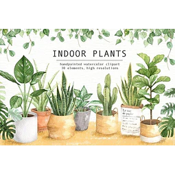 Cliparts Imagenes Png Plantas Interiores Acuarelas Es25