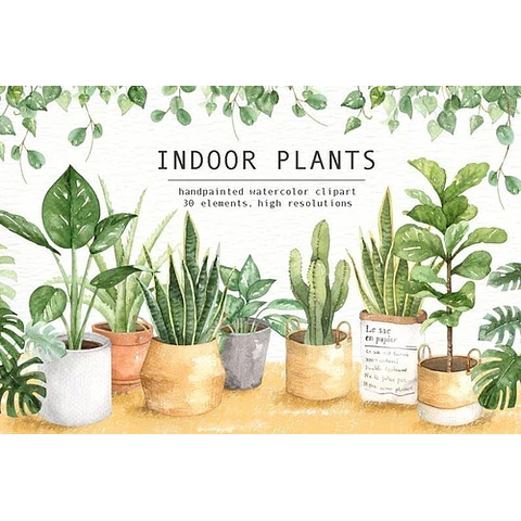 Cliparts Imagenes Png Plantas Interiores Acuarelas Es25