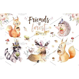 Cliparts Png Animales Del Bosque Acuarela Watercolor Pa27