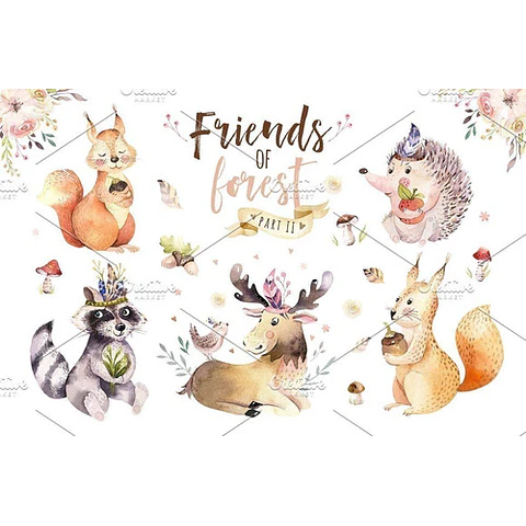 Cliparts Png Animales Del Bosque Acuarela Watercolor Pa27