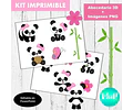 Kit Imprimible Letras 3d Editables Osita Panda +  