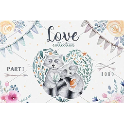 Cliparts Png Mapaches Amor Acuarela Watercolor Pa56