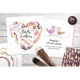 Cliparts Png Pajaritos Y Plumas Acuarela Watercolor O4