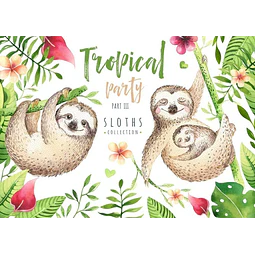 Cliparts Png Sloth Perezosos Acuarela Watercolor Pa54