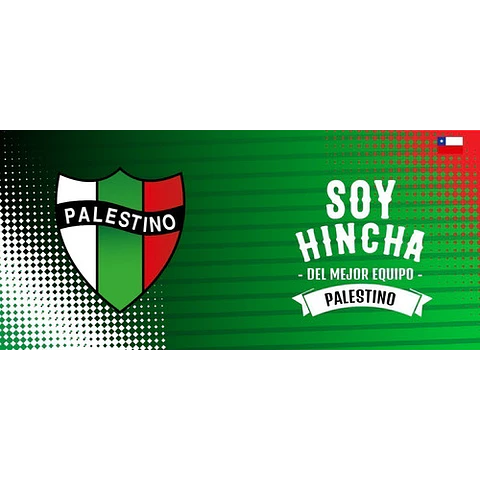 Plantillas Sublimación Tazones - Fútbol Chileno / 59 Diseños