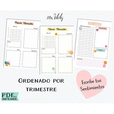 Kit Imprimible Agenda De Embarazo Diario Embarazada Control