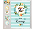 Kit Imprimible Tucan Toucan Tucanes Toucans Aves Birds Candy