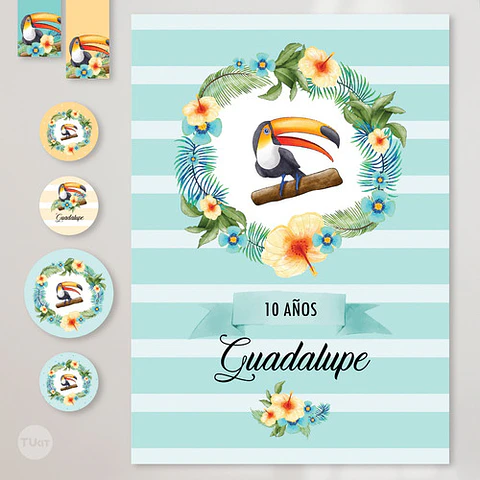 Kit Imprimible Tucan Toucan Tucanes Toucans Aves Birds Candy
