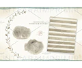 Kit Imágenes Png Cliparts Animales Safari Selva Acuarela 01