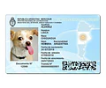 Dni Canino 100 % Editable Formato Psd