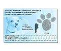 Dni Canino 100 % Editable Formato Psd