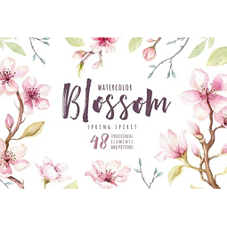 Cliparts Png Flores Blossom Acuarela Watercolor Pa3