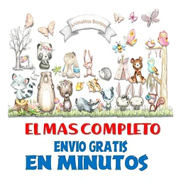 Pack Imágenes Clipart Animales Animalitos Bosque Acuarela