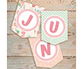 Kit Imprimible La Granja De Zenón Nena Rosa Editable 