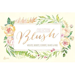 Cliparts Png Frames Florales Acuarela Watercolor O5