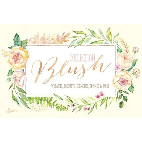 Cliparts Png Frames Florales Acuarela Watercolor O5