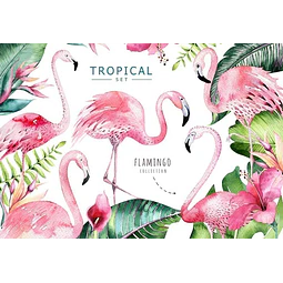 Cliparts Png Flamencos Tropical Acuarela Watercolor Pa55