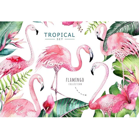 Cliparts Png Flamencos Tropical Acuarela Watercolor Pa55