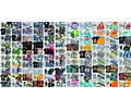 Pack + 40000 Vectores Premium De Remeras Sublimar Serigrafía
