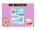 Plantillas Dni Mascotas / 3 Versiones Editables Photoshop