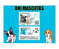Plantillas Dni Mascotas / 3 Versiones Editables Photoshop