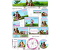 Kit Imprimible Masha Y El Oso Bosque Editable