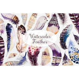 Cliparts Png Plumas Violetas  Acuarela Watercolor Pa65