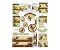 Kit Imprimible Dinosaurios Mod 2 Editable